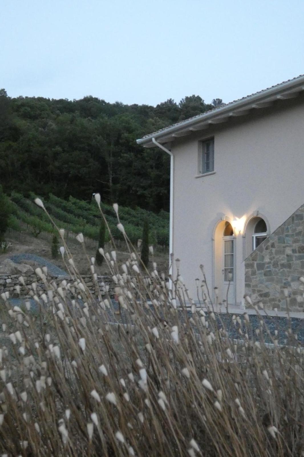 B&B Il Vecchio Molino Quercianella Exterior foto